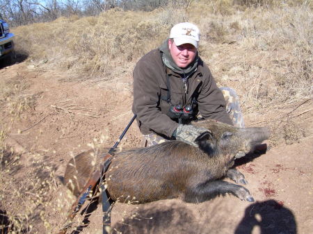 Texas pig hunt 2008