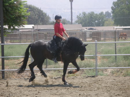 My youngest in training on a 4 yr old stallion