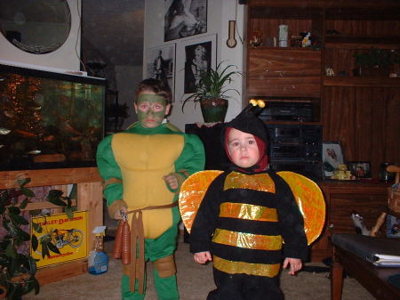 The Turtle and the Bee