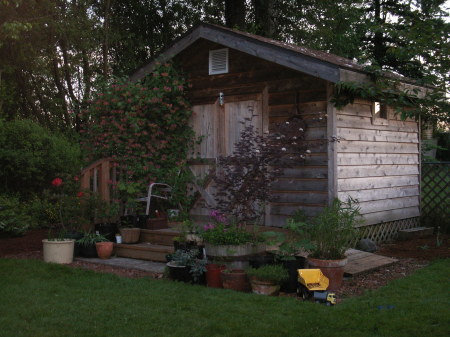 Shed we built, guess where!