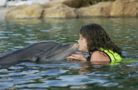 Discovery cove