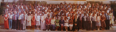 Harbour View School class of 1978