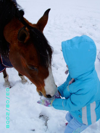 Jayna and her new horse