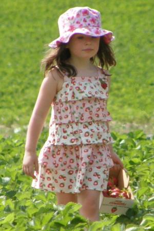 My little one Strawberry Picking