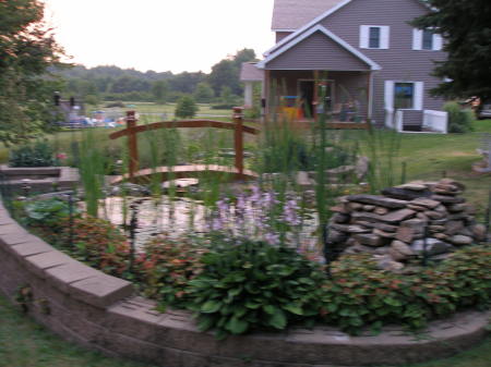 our pond and home