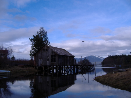 a view on Digby Island - Prince Rupert