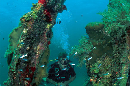 Wreck dive at Kura Kura Resort