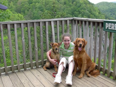 My daughter and our dogs