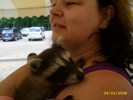 me and a racoon