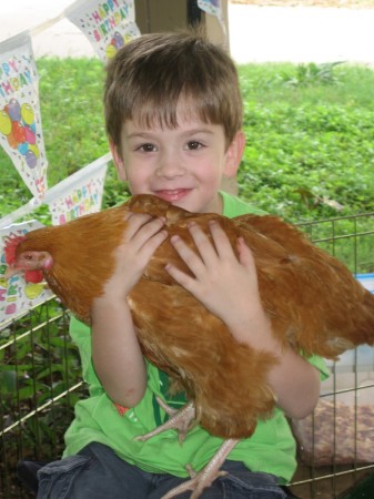 Josh and the Giant Chicken