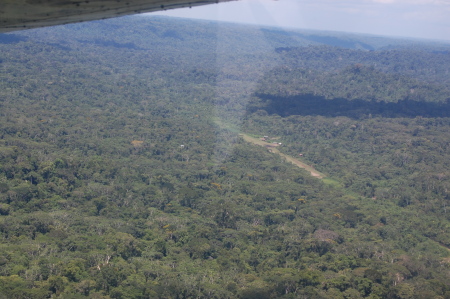 Amazon Jungle, Ecuador