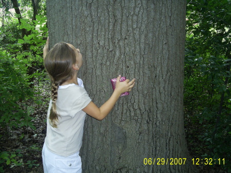 Treehugger