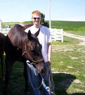 Oldest son and youngest horse