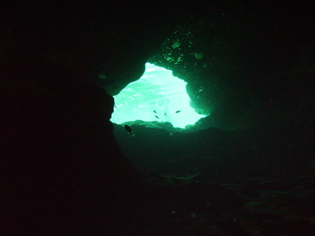 Little River Cave, Live Oak Florida