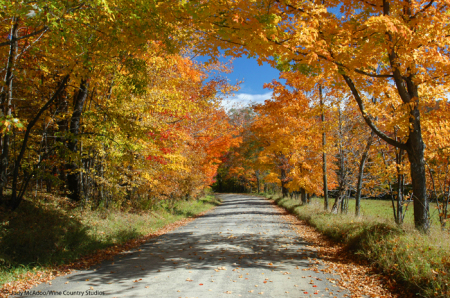 Fall in the Finger Lakes