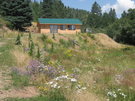 My Cabin in Southern Colorado