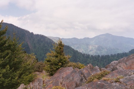 Smokies May, 2007