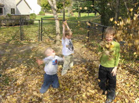 Fall in Minnesota!