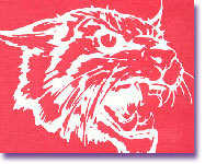Wilkinson Middle School Logo Photo Album