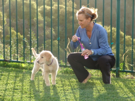 Puppy Training