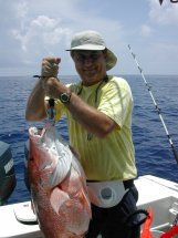 39.3 lb red snapper