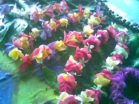 leis