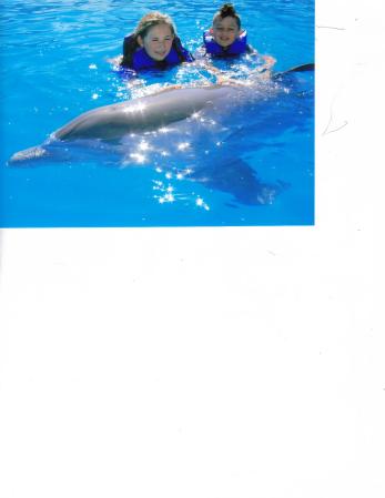grandskids and dolphins