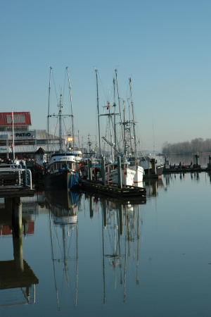 Fishing Boats