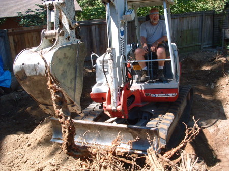 Bobcat