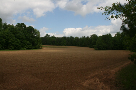 Tilled and leveled "The Bowl" last week.