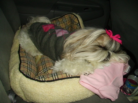 Sophie asleep in the car