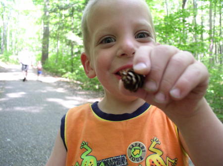 A tiny pinecone!