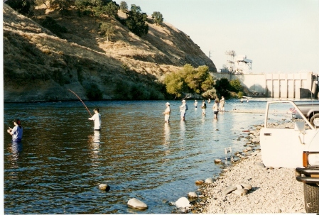 salmon fishing, folsom,ca