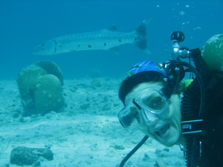 The IQ of a 4 ft Barracuda...can I eat that? Bonaire 2006