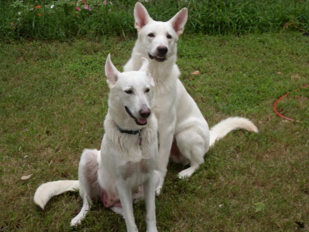 The happy couple,  Chance and Katie