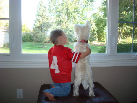 Jack & Coconut watching squirrels