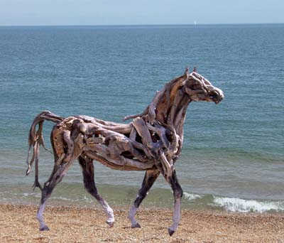 beach horse.