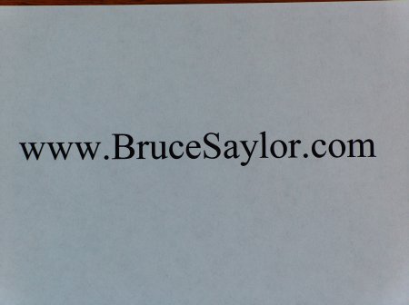 brucesaylor.com 001