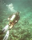 Pete Ardry's album, Diving Maui