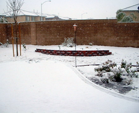 A rare snow day in Las Vegas!