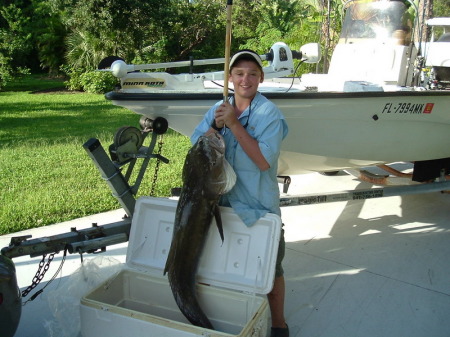 shelby and cobia