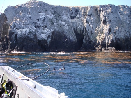 Anacapa Island scuba trip