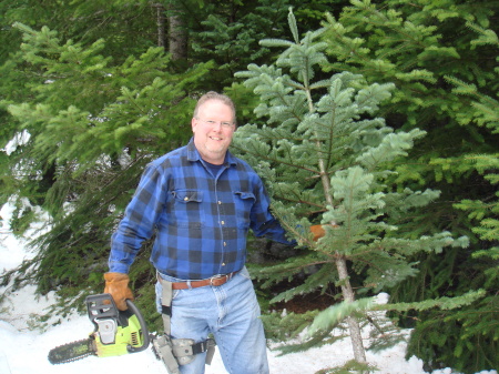 Christmas Tree 2007