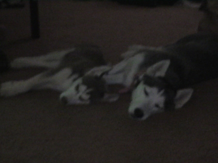 Napping with Momma.