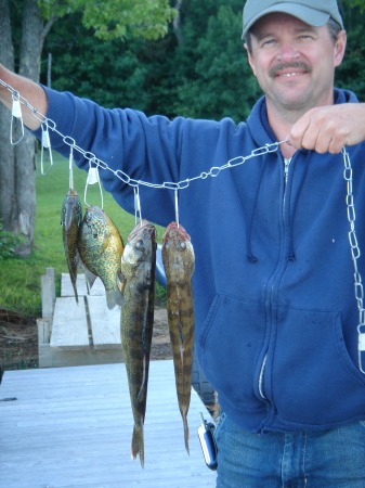 stan and walleye