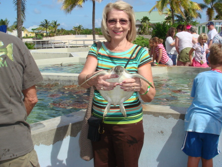Judy at the Grande Cayman Turtle Farm.