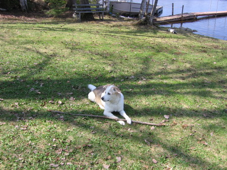 Bernie with the Big Stick