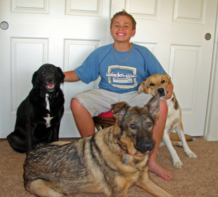 Brandan and the puppies