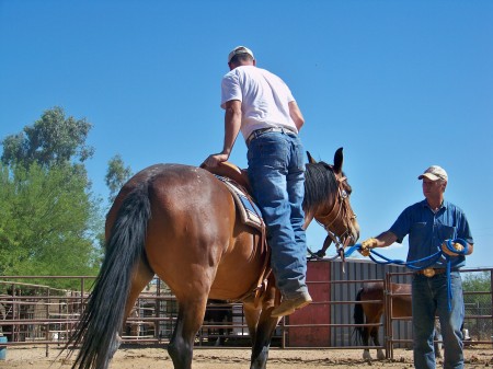 Randy Helm's album, Horses and horse training