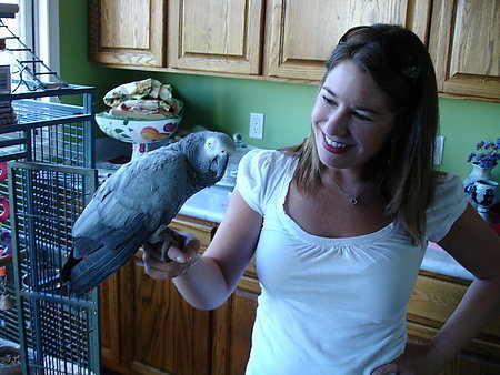 With the in law's African Grey